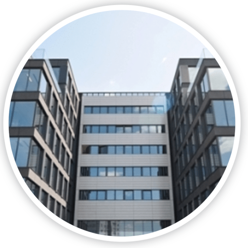 Egis Poland success story